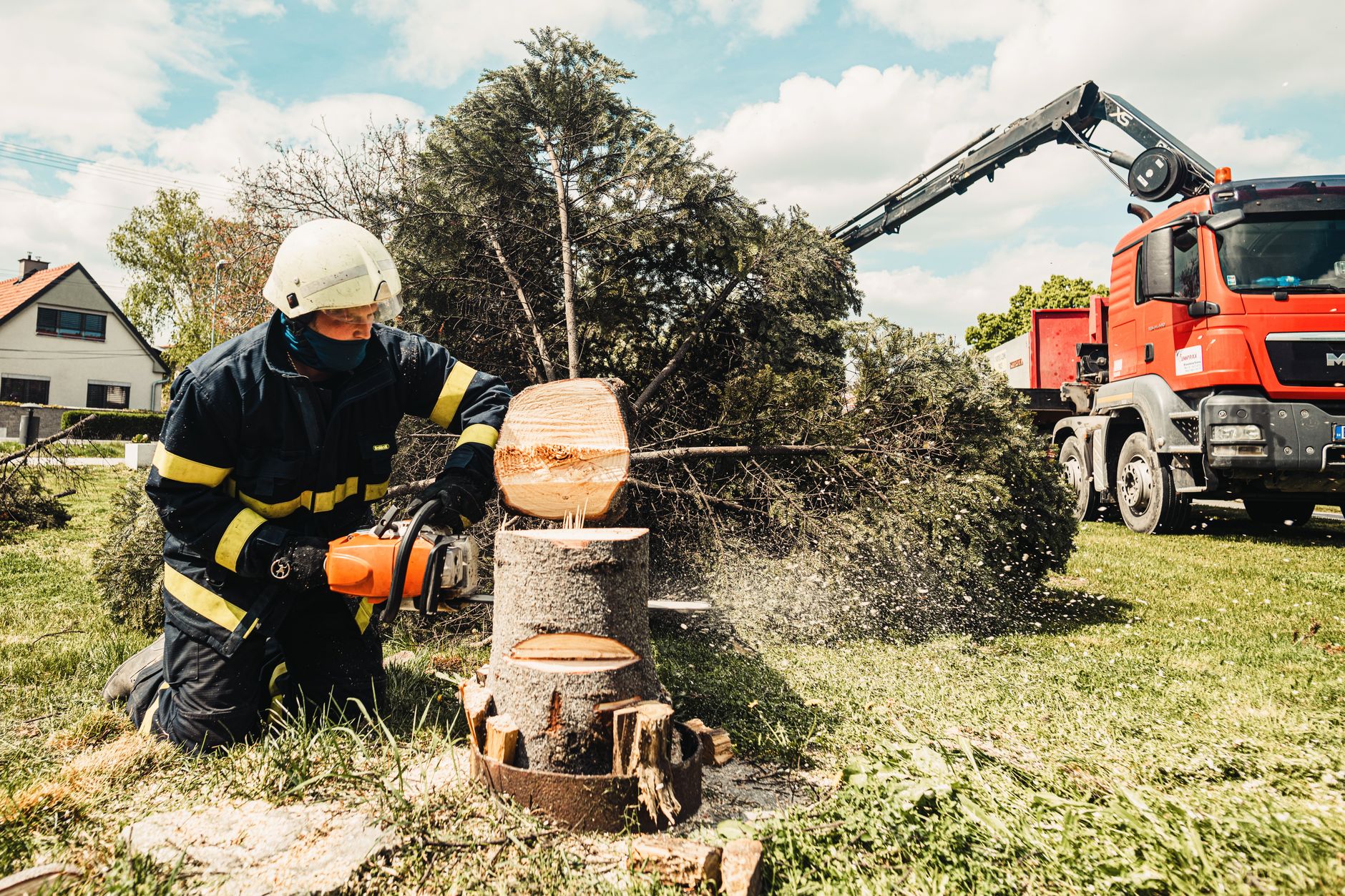 Tree Trimming — Paris Tx Tree Removal